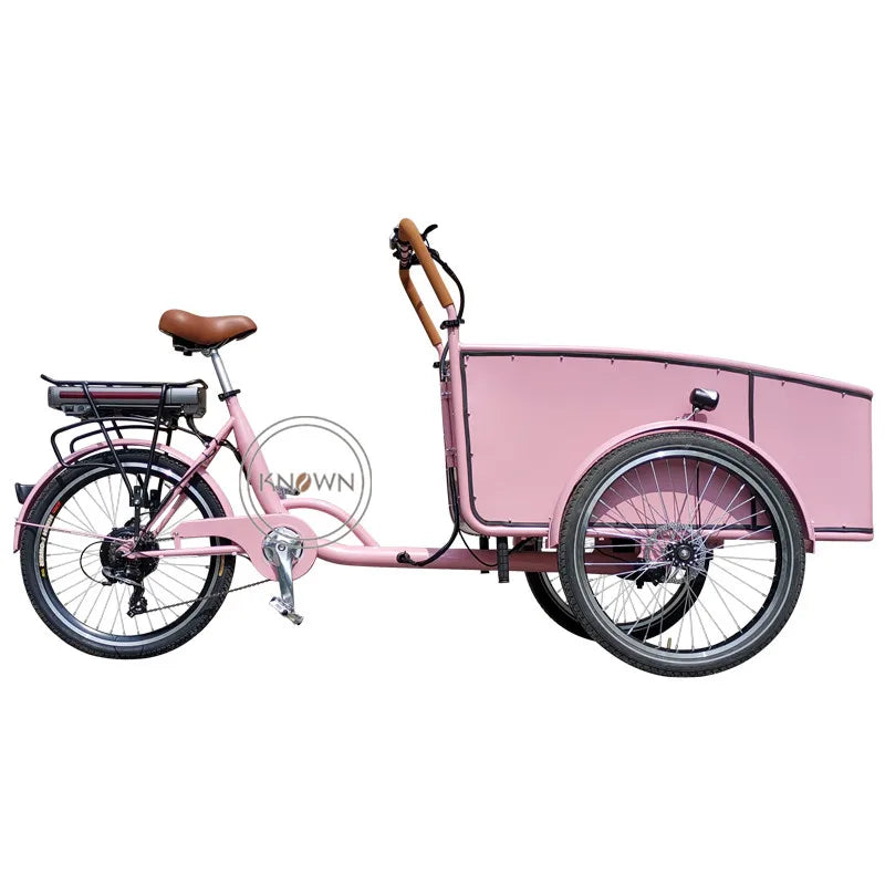 Electric Passenger Tricycle Cargo Fashionable