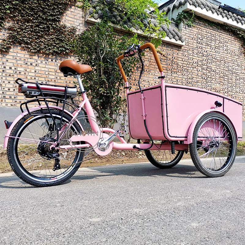 Electric Passenger Tricycle Cargo Fashionable